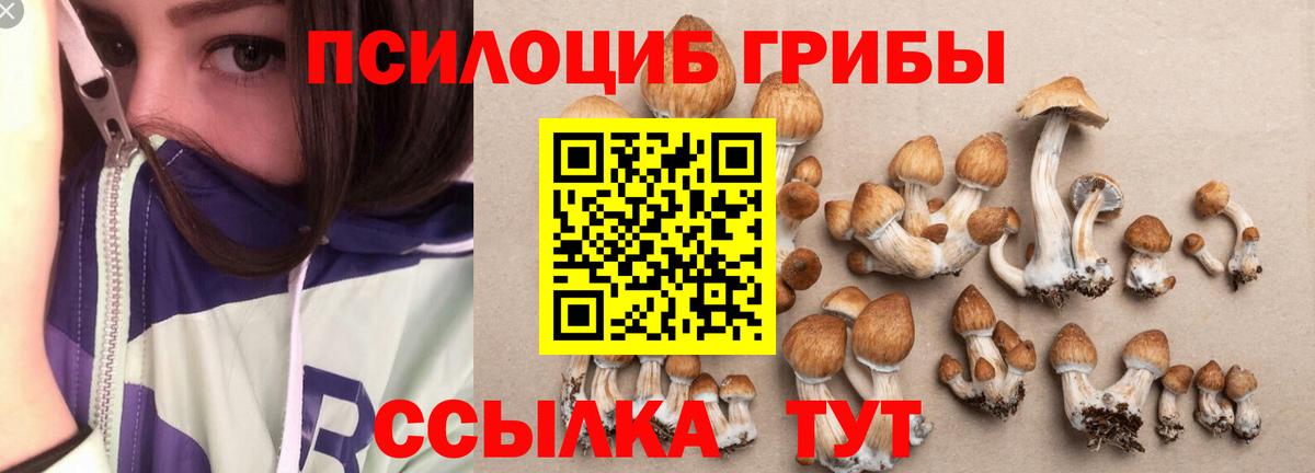 купить наркотики сайты  Вход с VPN  Урус-Мартан  Псилоцибиновые грибы прущие грибы  Галлюциногенные грибы прущие грибы 